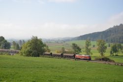 Diesellok der Baureihe 232 (Ludmilla)mit Güterzug