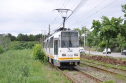 Straßenbahn Bukarest Bucuresti Tram V3A im Grünen nahe der Haltestelle Strandul Tei