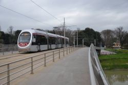 Straßenbahn Florenz Firenze Tram AnsaldoBreda Sirio Hitachi auf der Brücke über den Fluss Arno