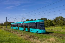 Straßenbahn Frankfurt am Main Tram Alstom Citadis T-Wagen auf Rasengleis in Preungesheim